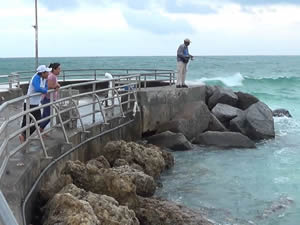 jetty fish at jupiter beach park in fl